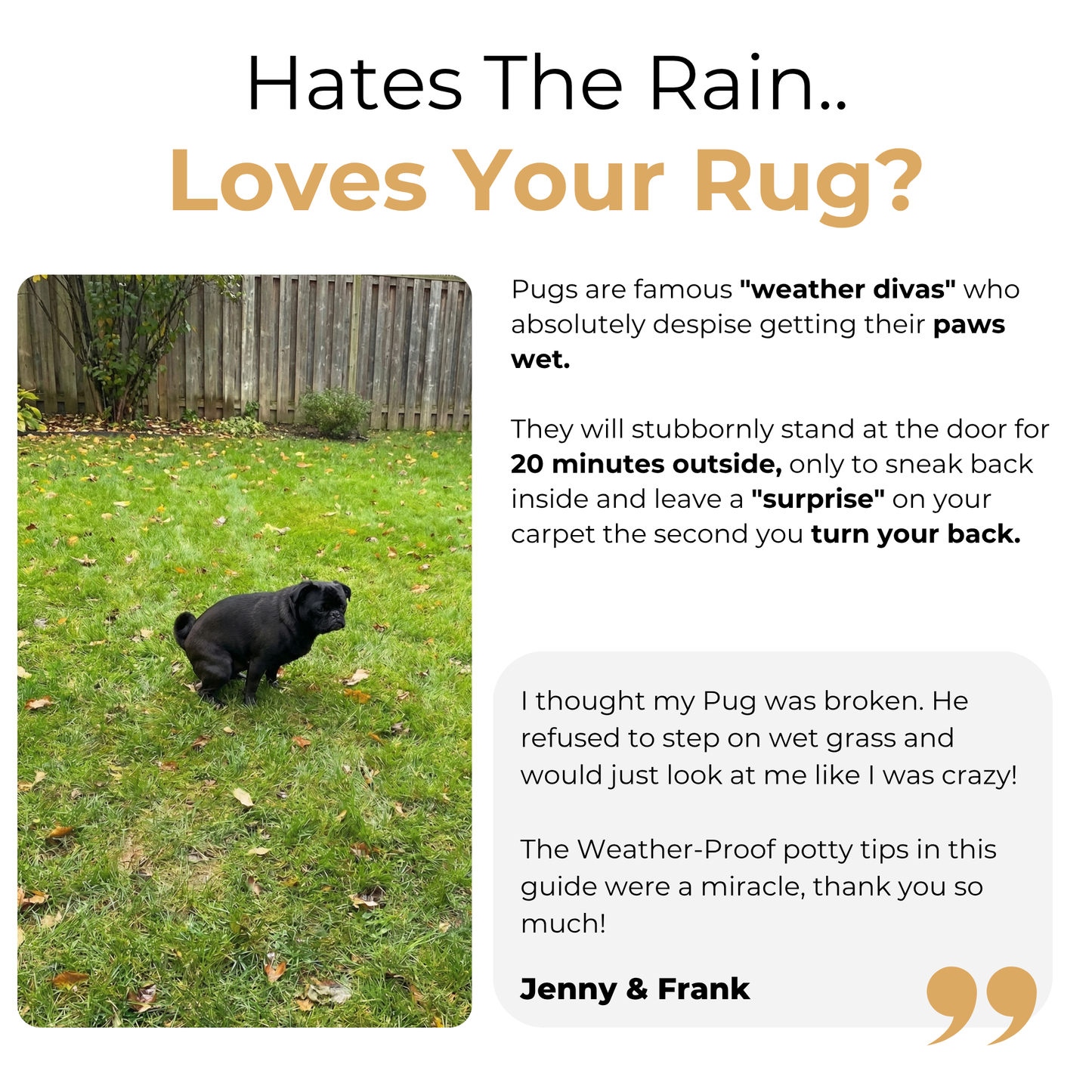 The Complete Pug Guide