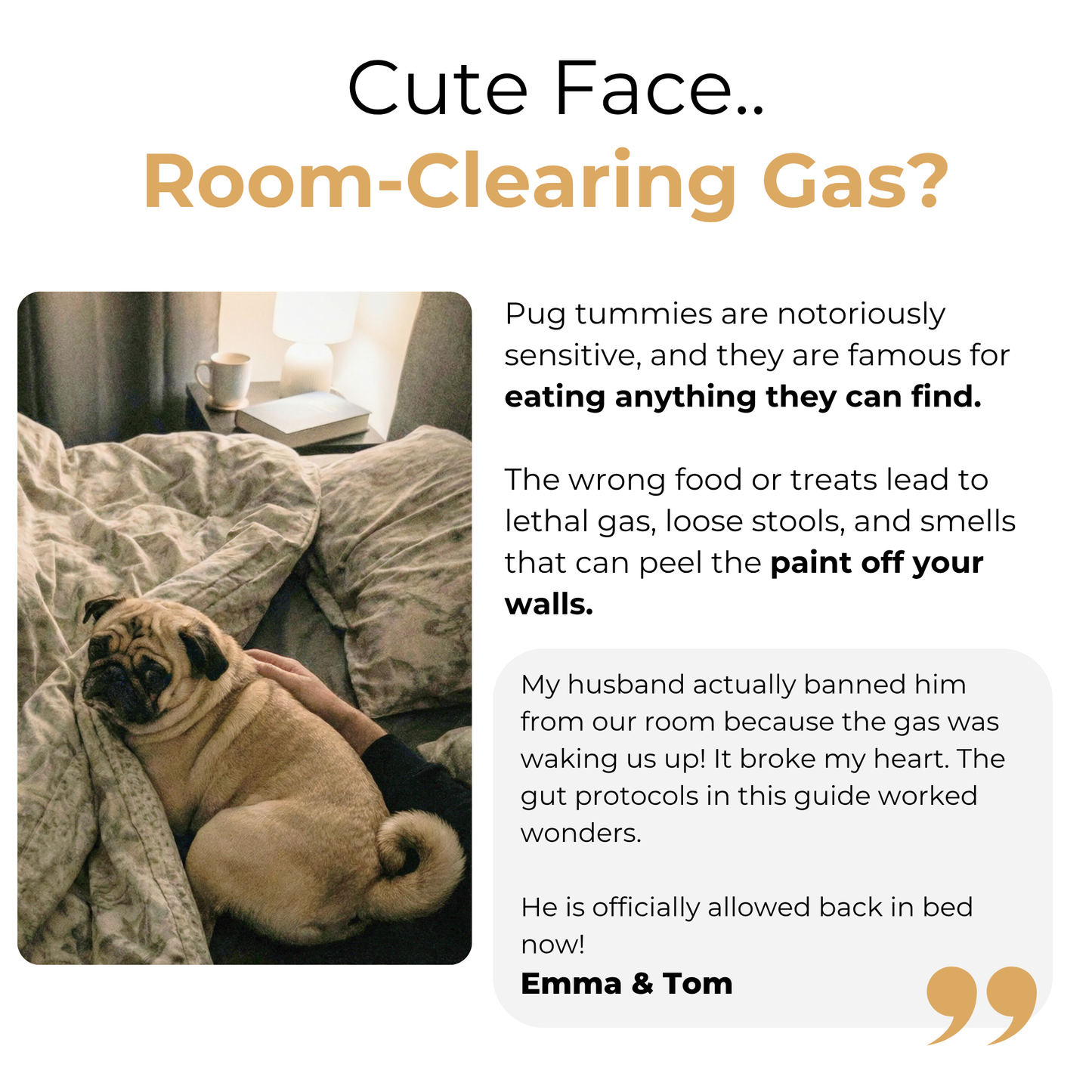 The Complete Pug Guide