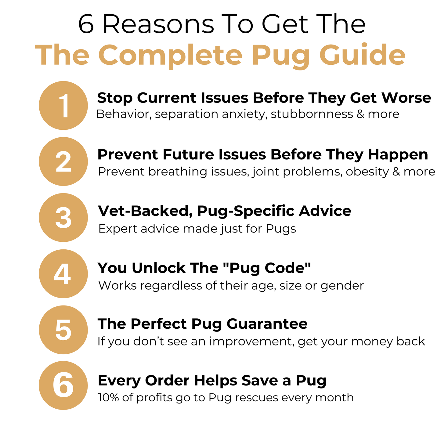 The Complete Pug Guide