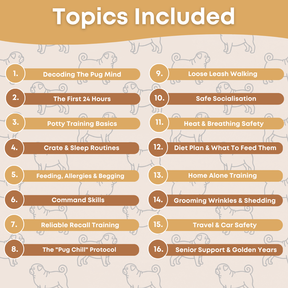 The Complete Pug Guide