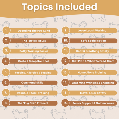 The Complete Pug Guide