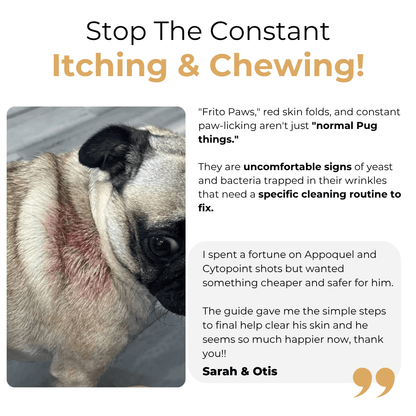 The Complete Pug Guide