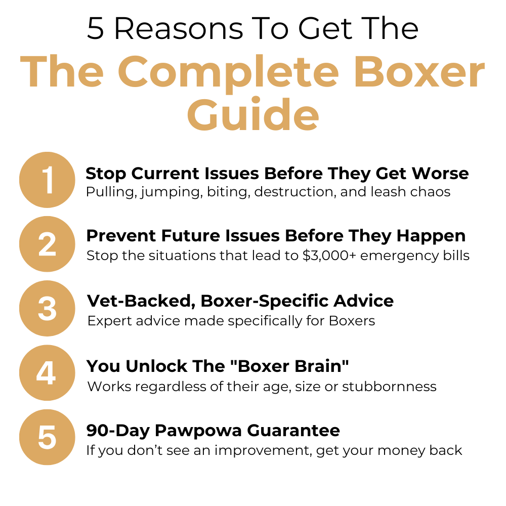 The Complete Boxer Guide