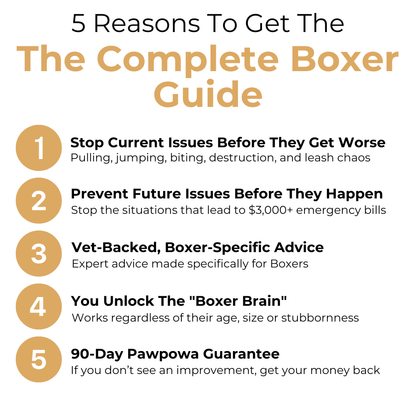 The Complete Boxer Guide