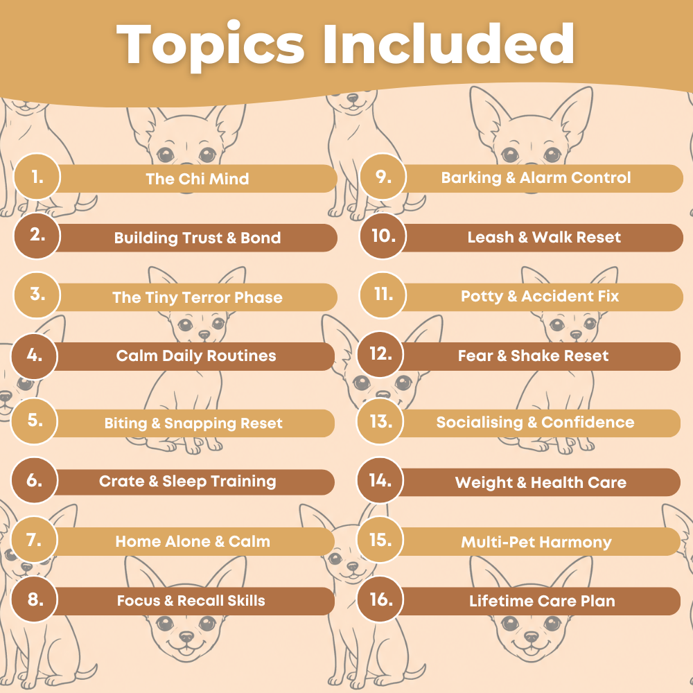 The Complete Chihuahua Guide