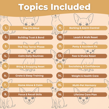 The Complete Chihuahua Guide