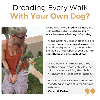 The Complete Chihuahua Guide