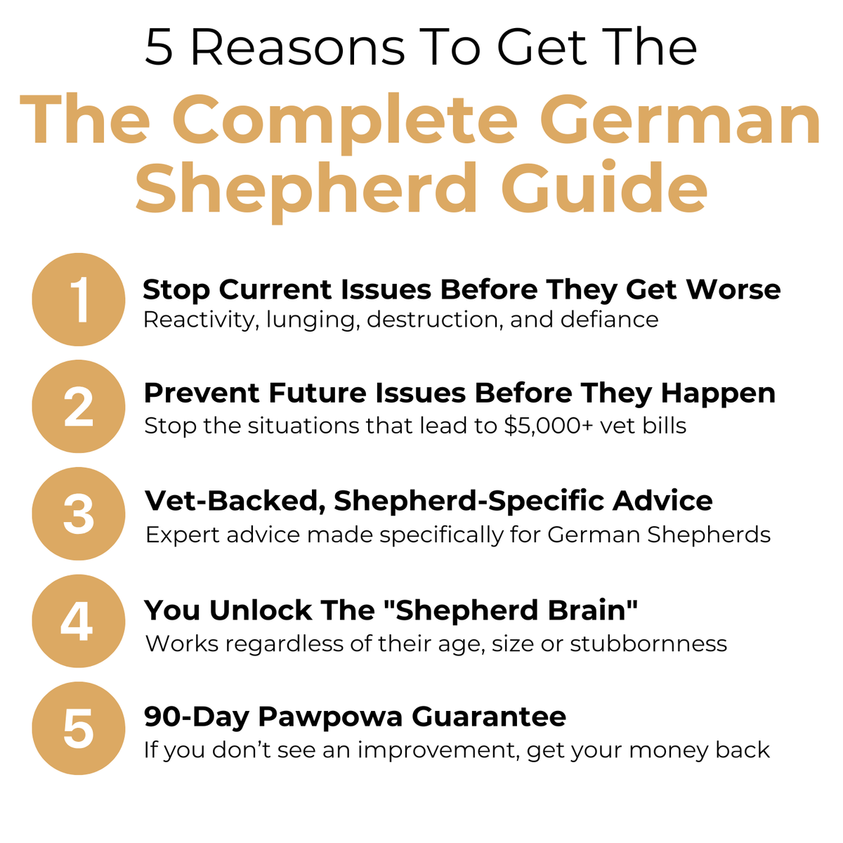 The Complete German Shepherd Guide