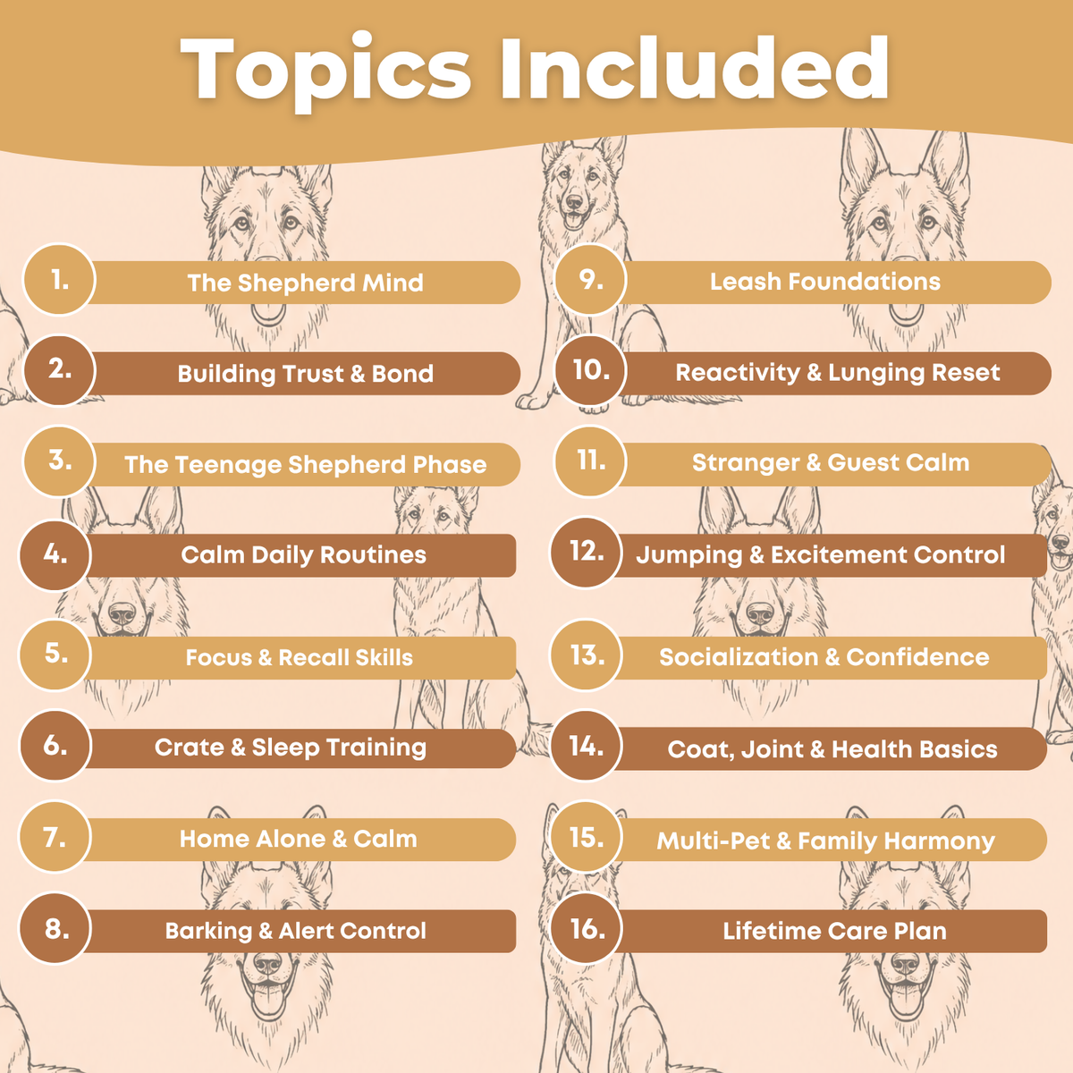 The Complete German Shepherd Guide