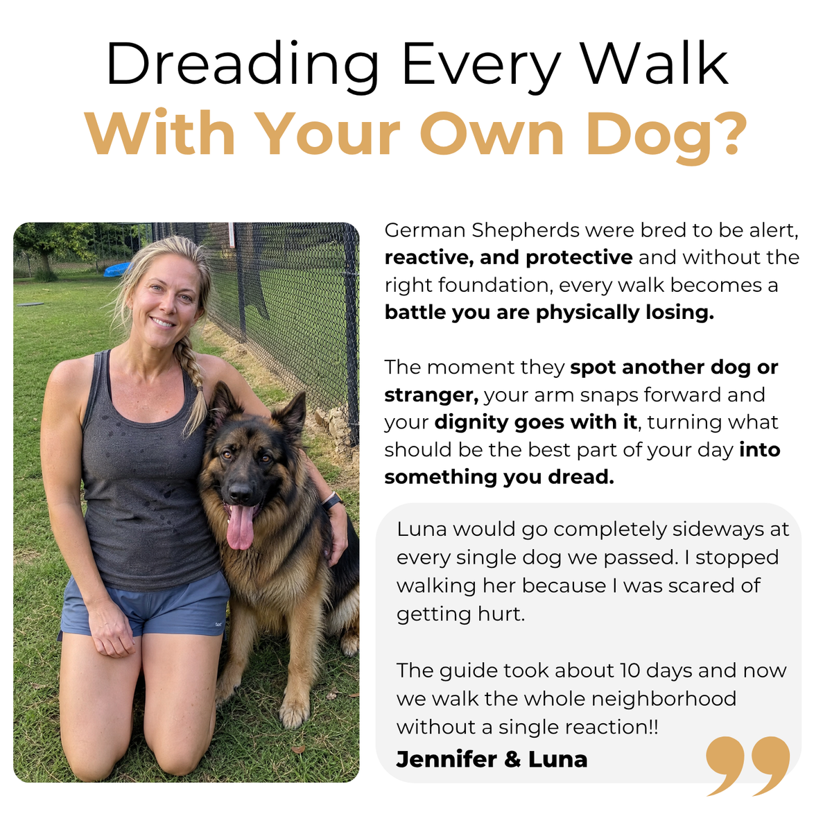 The Complete German Shepherd Guide