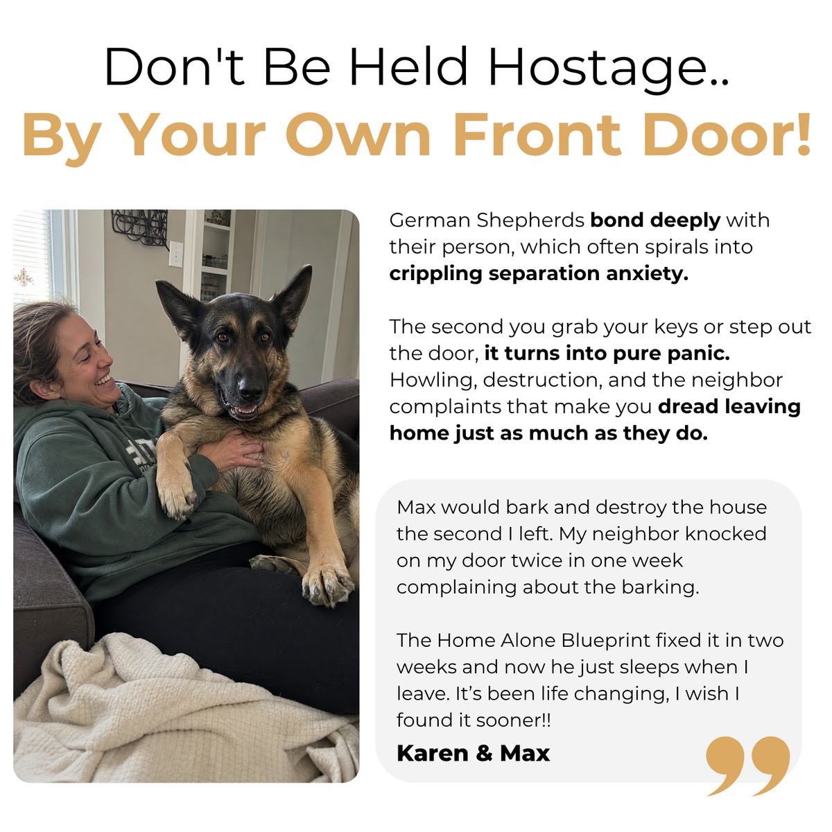 The Complete German Shepherd Guide
