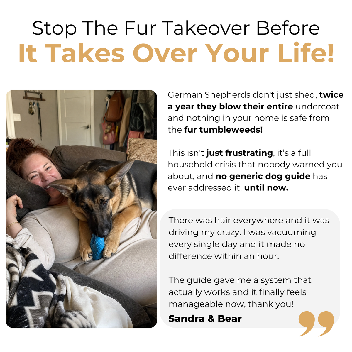 The Complete German Shepherd Guide