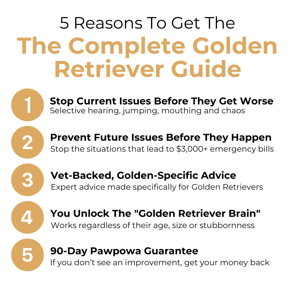 The Complete Golden Retriever Guide