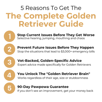 The Complete Golden Retriever Guide