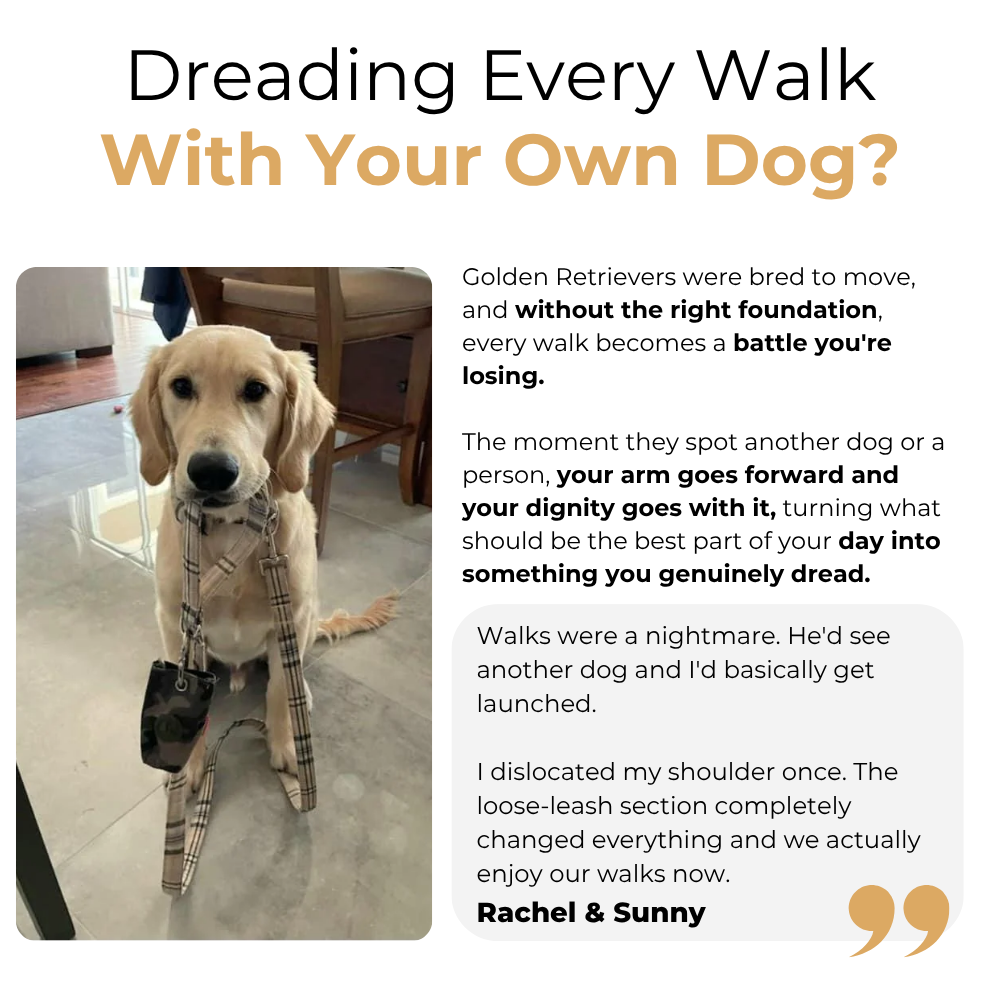 The Complete Golden Retriever Guide