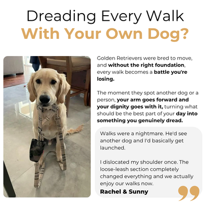 The Complete Golden Retriever Guide