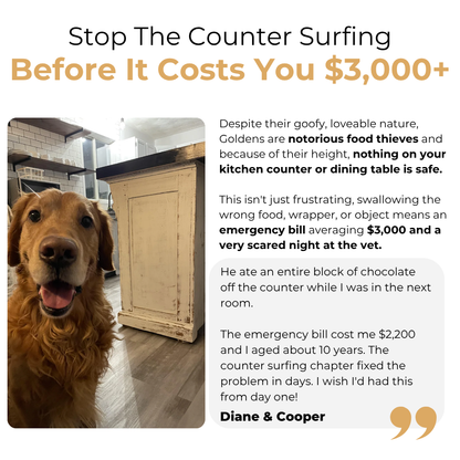 The Complete Golden Retriever Guide