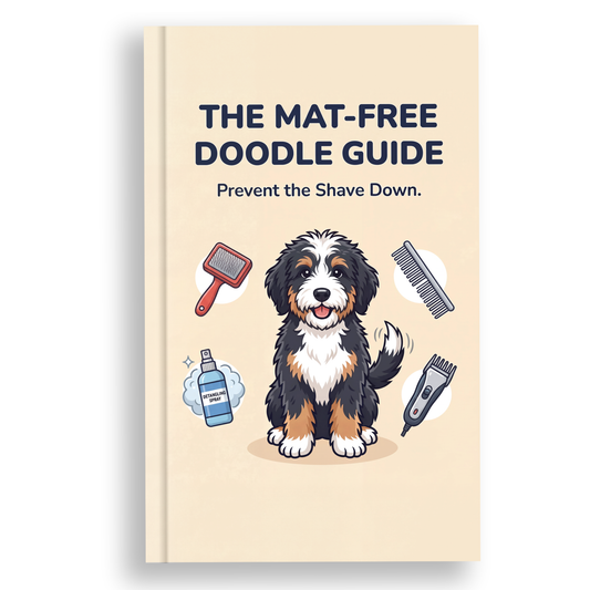 Mat-Free Doodle Guide