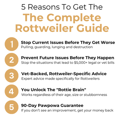The Complete Rottweiler Guide
