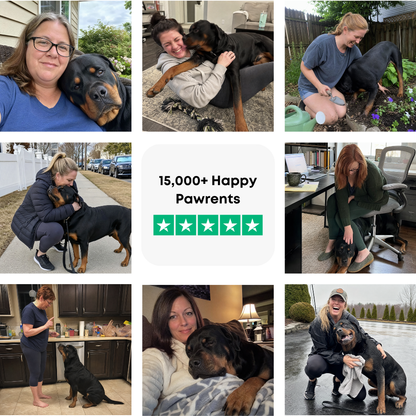 The Complete Rottweiler Guide