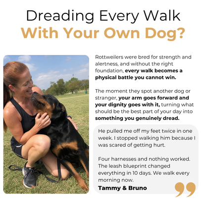 The Complete Rottweiler Guide