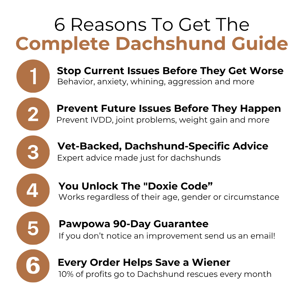 The Complete Dachshund Guide